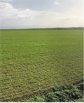 Image du bien UBI475836140